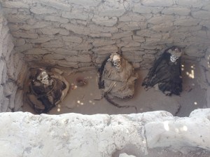 Incredible mummies of the ancient Nazca people at the Chauchilla Cemetery. So well preserved, hair and all.
