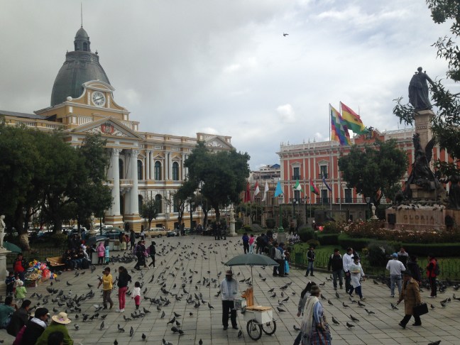 Pigeon watching at Plaza Murillo.