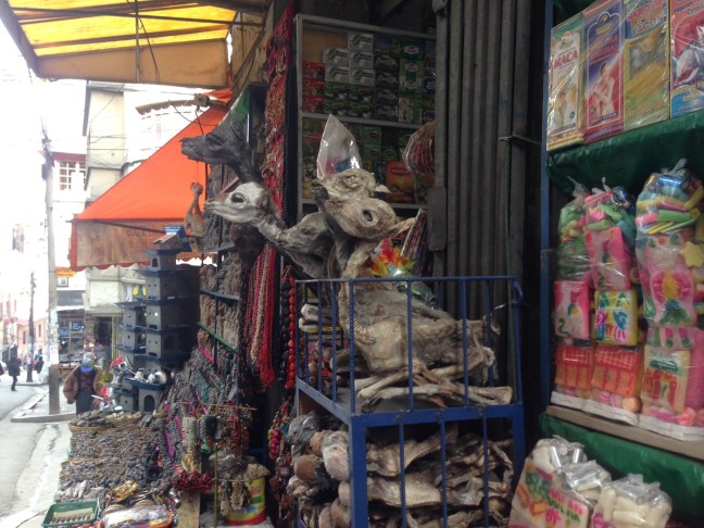 You know, just your run of the mill llama fetuses for good luck at the witches' market.