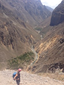 A long way left to go.