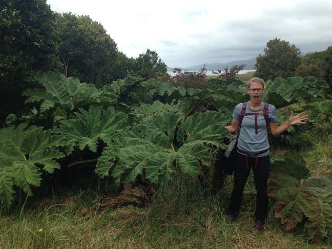 Parque Nacional Chiloe, Chile