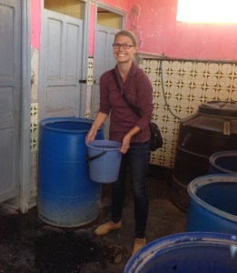 Speaking of toilets,, let me introduce you to one of our favorite travel treats: the public bathroom bucket flush!